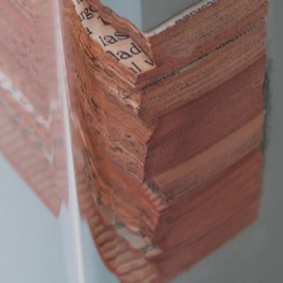 Javier Velarde Books and topographies Blue Javier Velarde Maule n 2024