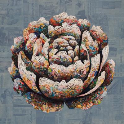 Jay Kelly New Dream