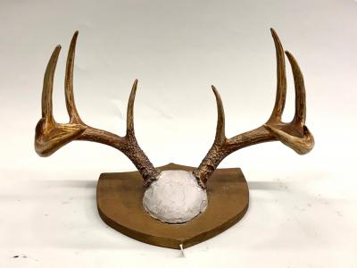 Jean Charles Moreux Set 3 French Alps Gilt Shield Mounted Antlers attr Jean Charles Moreux c 1935