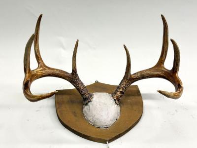 Jean Charles Moreux Set 3 French Alps Gilt Shield Mounted Antlers attr Jean Charles Moreux c 1935