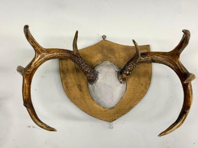 Jean Charles Moreux Set 3 French Alps Gilt Shield Mounted Antlers attr Jean Charles Moreux c 1935