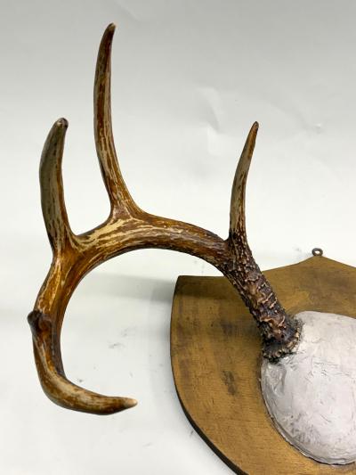 Jean Charles Moreux Set 3 French Alps Gilt Shield Mounted Antlers attr Jean Charles Moreux c 1935