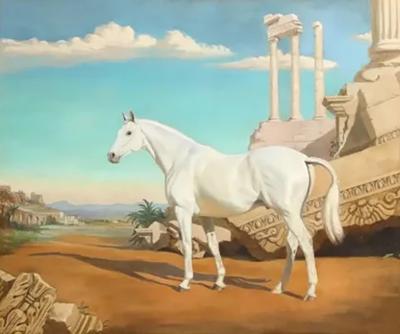 Jean Eleanor Bowman Jean Bowman American 1918 1994 White Arabian Portrait of a Horse 1947