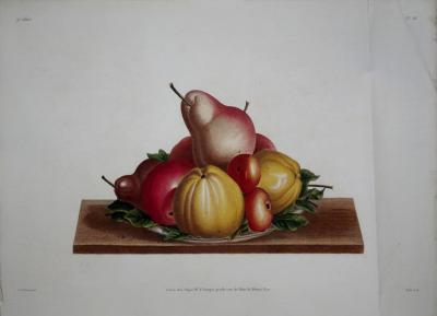 Jean Louis Prevost JEAN LOUIS PREVOST 1760 1810 PLATE 36