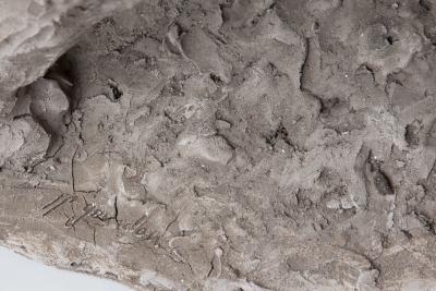 Jean Paul Gourdon INDIAN ELEPHANT WITH A MAHOUT IN GREY TERRACOTTA by Jean Paul Gourdon born 1956