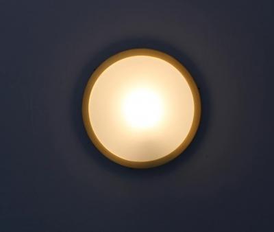 Jean Perzel Fine French 1950s Glass and Brass Flush Mount by Perzel
