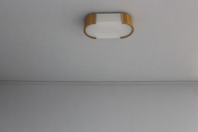 Jean Perzel Fine French Art Deco Bronze and Glass Ceiling or Wall Light by Perzel