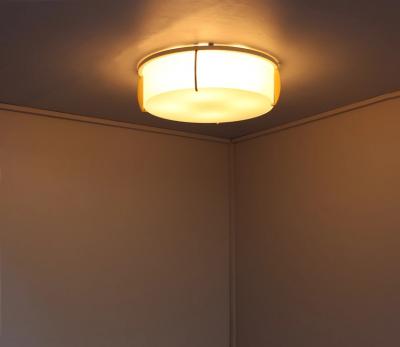 Jean Perzel Fine French Art Deco Bronze and Glass Flush Mount by Jean Perzel