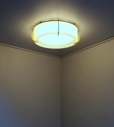 Jean Perzel Fine French Art Deco Glass and Bronze Ceiling Light by Jean Perzel