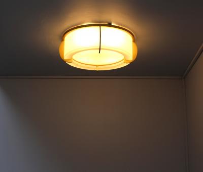 Jean Perzel Fine French Art Deco Glass and Bronze Ceiling Light by Jean Perzel