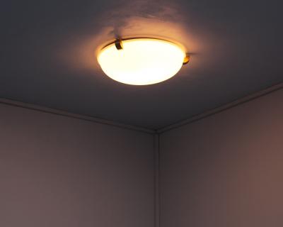 Jean Perzel Fine French Art Deco Glass and Bronze Flush Mount Sconce by Jean Perzel