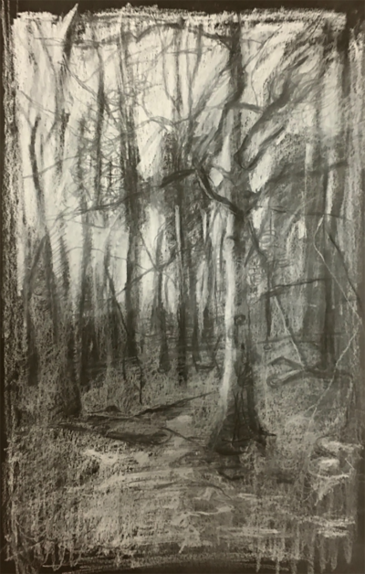 Jean Sbarra Jones Tangle 2018