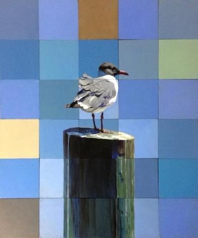 Jeff Cohen LAUGHING GULL