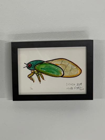 Jeff Kapfer Cicada