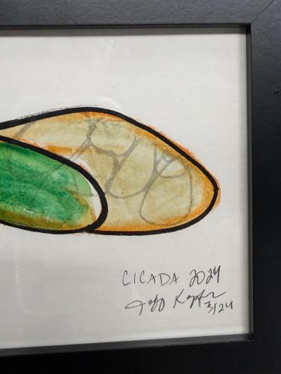 Jeff Kapfer Cicada