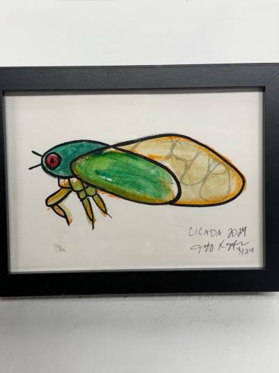Jeff Kapfer Cicada