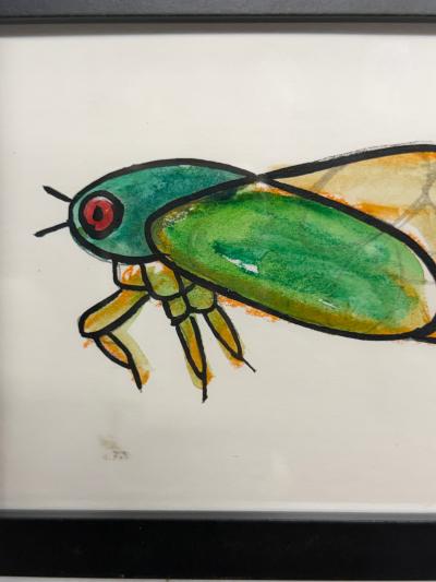 Jeff Kapfer Cicada