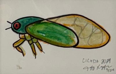 Jeff Kapfer Cicada