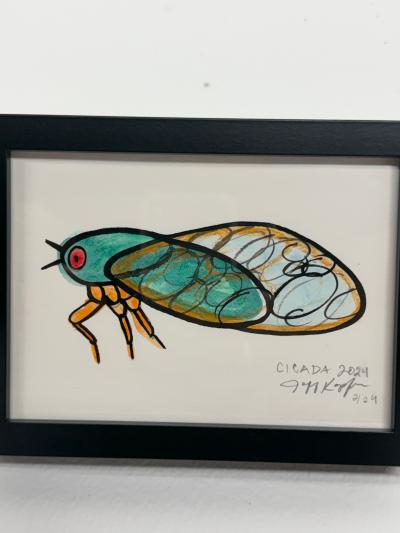 Jeff Kapfer Cicada