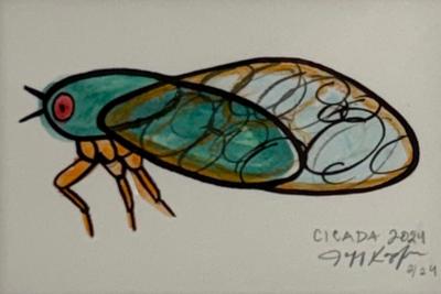 Jeff Kapfer Cicada