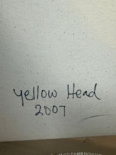 Jeff Kapfer Yellow Head Colorful Avian Painting 24 x 24
