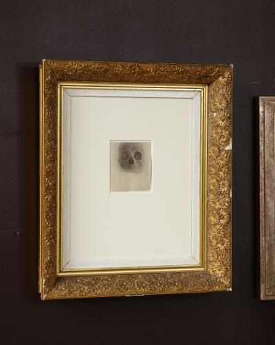 Jefferson Hayman Skull photo