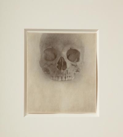 Jefferson Hayman Skull photo