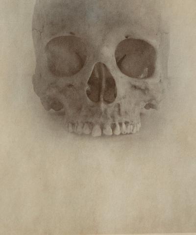 Jefferson Hayman Skull photo