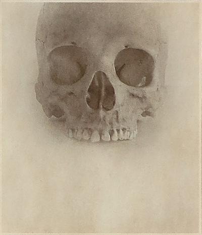 Jefferson Hayman Skull photo