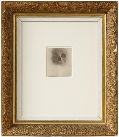 Jefferson Hayman Skull photo