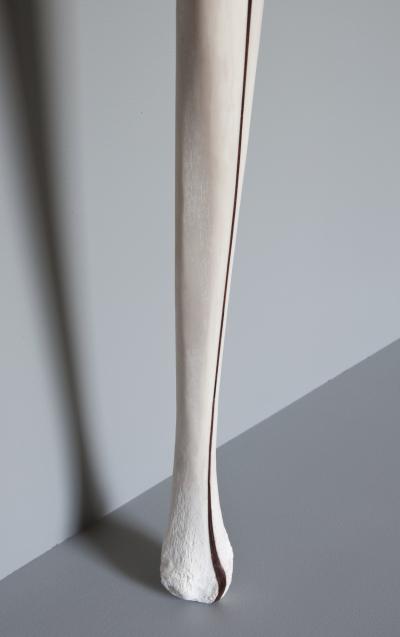 Jennifer Trask Limb 2012