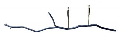 Jennyfer Stratman Graft DI9