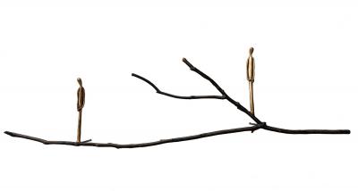 Jennyfer Stratman Graft EJ6