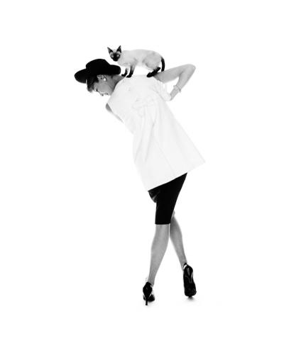 Jerry Schatzberg Cha Cha Cha Jean Patchett Cat