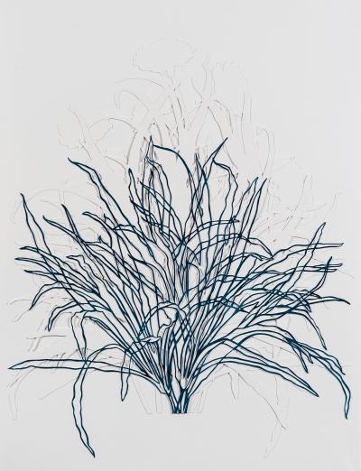 Jill Grimes Botanic Construction IV 2018