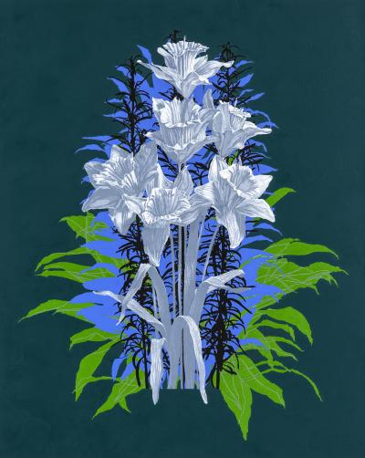 Jill Grimes Daffodils 2018