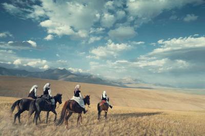 Jimmy Nelson KYR SAR KYR D12