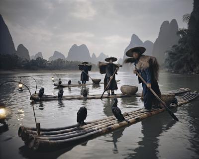 Jimmy Nelson XXII 467 XXII China Comorants