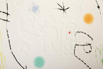 Joan Mir Adonides D881