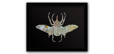 Joanathan BESSACI Scarab III 2017