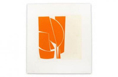 Joanne Freeman Covers 1 Orange