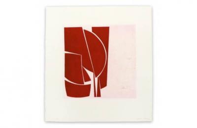Joanne Freeman Covers 1 Red