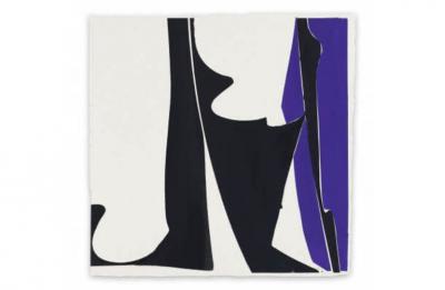 Joanne Freeman Covers 13 Blue Black