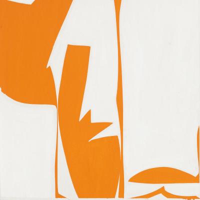 Joanne Freeman Covers 13 orange