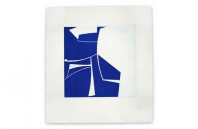 Joanne Freeman Covers 2 Cobalt