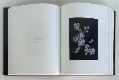 Joel Arthur Rosenthal JAR 1 Paris Jewelry Book by Joel Arthur Rosenthal 2002 First Edition Hardcover