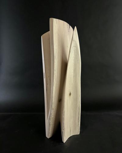 Joel Urruty Free Form 2