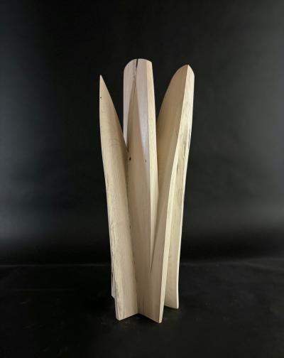 Joel Urruty Free Form 2