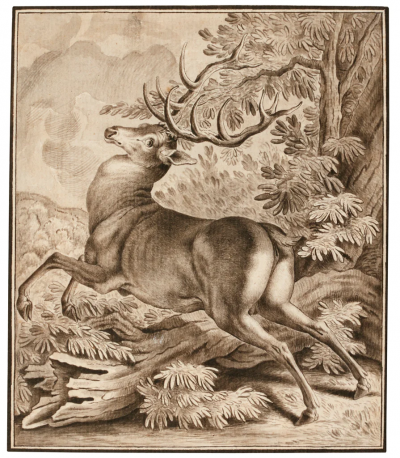 Johann Elias Ridinger JOHANN ELIAS RIDINGER GERMAN 1698 1767 A STARTLED DEER