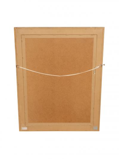 Johann Wilhelm Weinmann Johann Wilhelm Weinmann Framed Pair of Botanical Prints